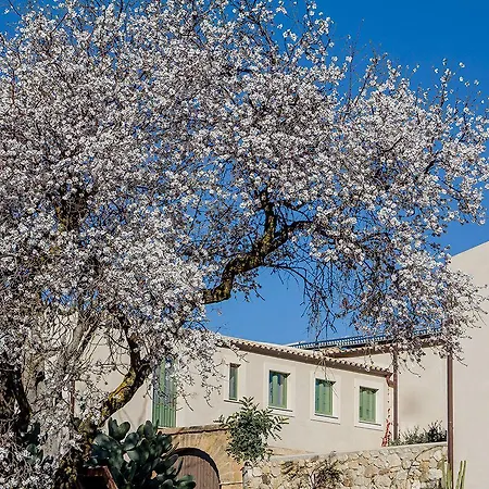 Fontes Episcopi Aragona