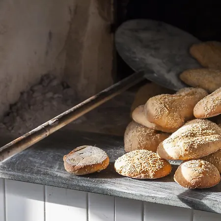 Fontes Episcopi Aragona