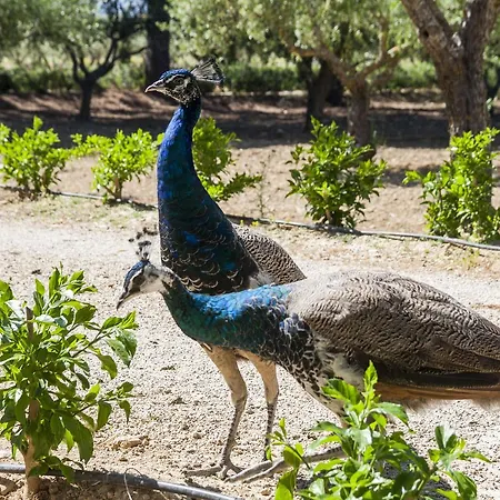 Resort Fontes Episcopi Aragona