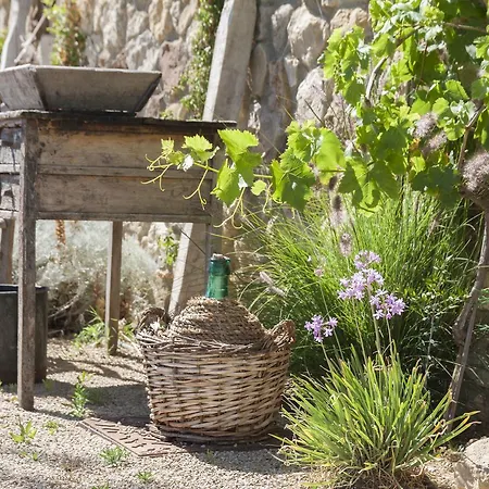 Fontes Episcopi 3* Aragona