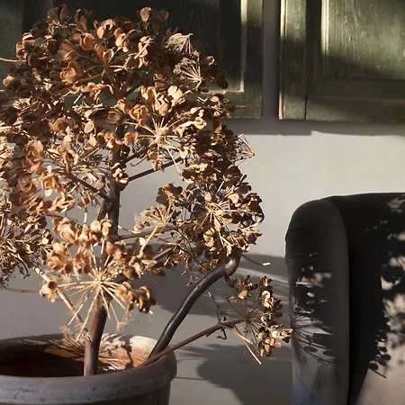 Resort Fontes Episcopi