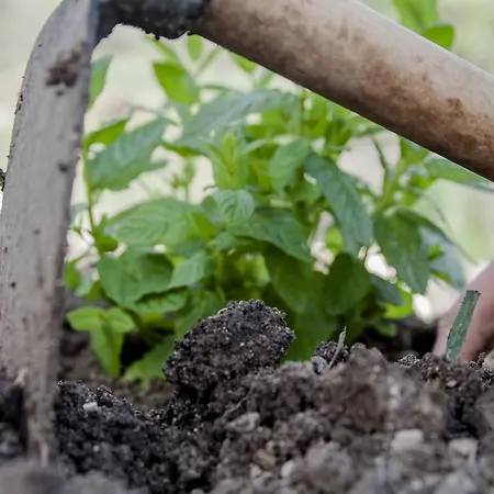 Fontes Episcopi 3* Aragona