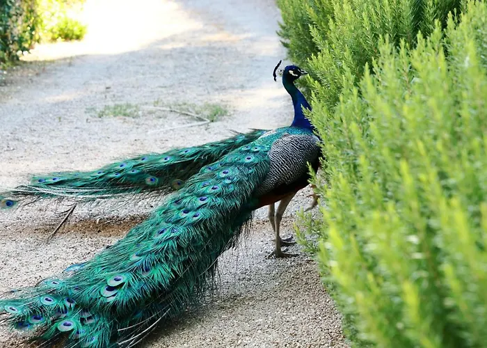 Resort Fontes Episcopi 3*