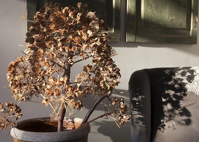 Resort Fontes Episcopi