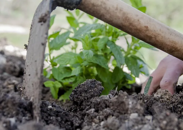 Fontes Episcopi 3* Aragona